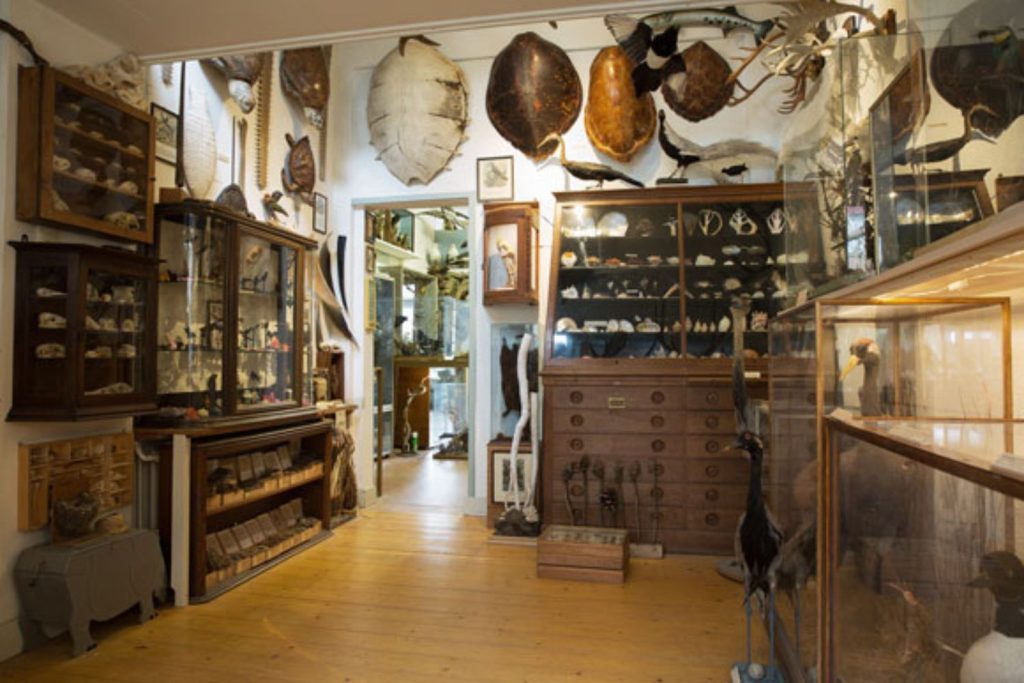 Klaas Nanninga Natuurmuseum Groningen musea